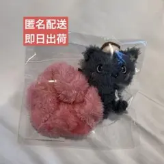 NCT WISH リク ファンライトミニドールキーリング ソウルコン クリ