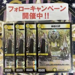 神極の絆 4枚 ④のサムネイル