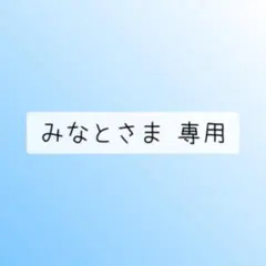 みなとさま 専用②のサムネイル