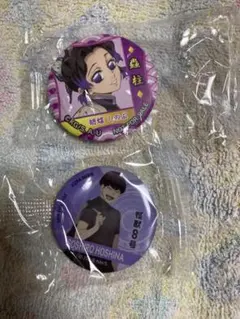 鬼滅　胡蝶しのぶ缶バッジ　怪獣8号　保科マグネット　2個セット