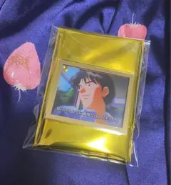エヴァンゲリオン 加持