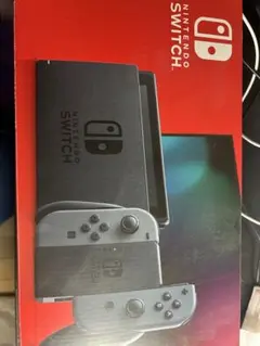 Nintendo Switch グレー本体 Joy-Con付き