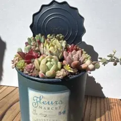 よんよん様 リクエスト 2点 まとめ商品