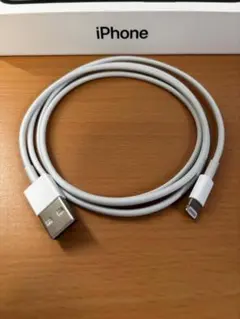신품 미사용 iPhone Apple 순정 라이트닝 케이블 유형 A 1