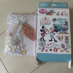 ディズニー　サマーサマーキーチェーン　ドナルド