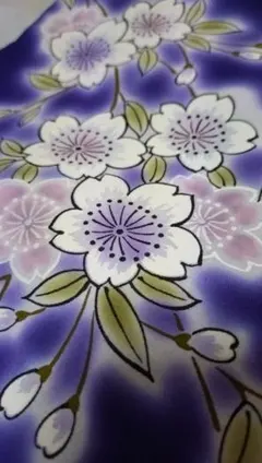 Item thumbnail for item 8ef94dff-bc4c-4657-9c71-97c23b0d4a09