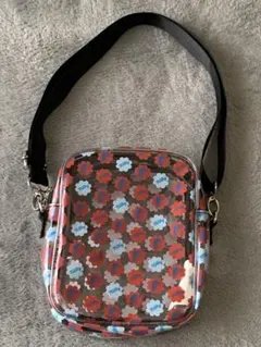 Item thumbnail for item 852b1a0c-a7e0-4b67-885d-f1098d65940f