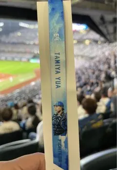 Item thumbnail for item d4a7bee1-d9b4-44f1-995c-8a2204784c61