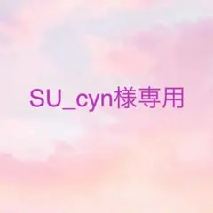 SU_cyn様 リクエスト 2点 まとめ商品