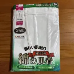 Item thumbnail for item 124b48ef-e589-4e55-9434-75a086e87a03