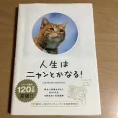 Item thumbnail for item afd383a8-b0bb-420d-9c87-81a5416a0452