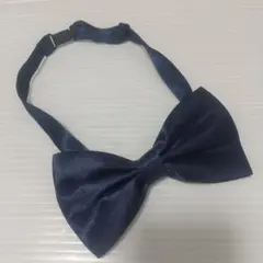 Item thumbnail for item b33379a7-6ac4-415a-b308-56521d7e8057