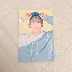 SEVENTEEN ケレン　2020 CARAT LAND ウォヌ　トレカ