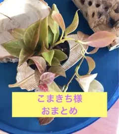 こまきち様 リクエスト 2点 まとめ商品