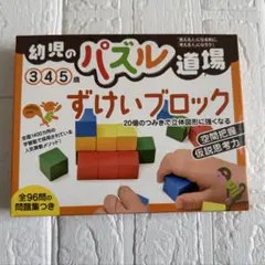 幼児のパズル道場 3・4・5歳 ずけいブロック　幻冬舎　小学校受験のサムネイル