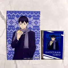 ハイキュー はふはふ アクリルカード ポストカード 影山飛雄