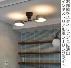 2灯スポットライト シーリングライト カピエンテ2 美品 おしゃれ