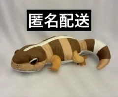 レオパのきいちゃん　くるんとポーズ　STぬいぐるみ　にーたん