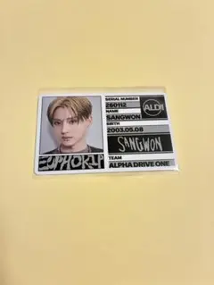 ALD1 サンウォン IDカードFREAKALARM Ver.