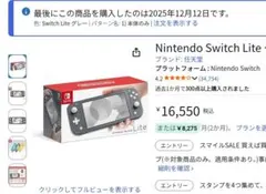 Nintendo Switch Lite グレー