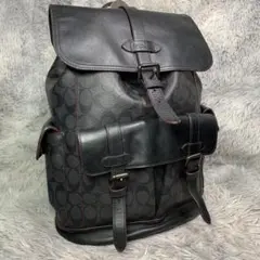 美品 COACH コーチ ハドソン バッグパック リュック デイパック レザー