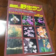 自然と野生ラン 1986年2月号 専門誌のサムネイル