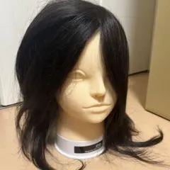 2025年最新】カットウィッグip200の人気アイテム - メルカリ