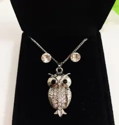 フクロウネックレスとピアスのセット