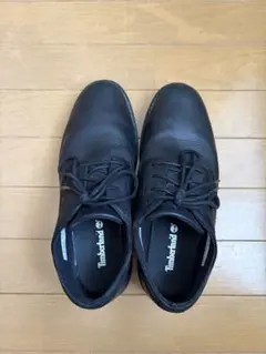 Timberland クレストフィールドレースアップ ウォータープルーフシューズ