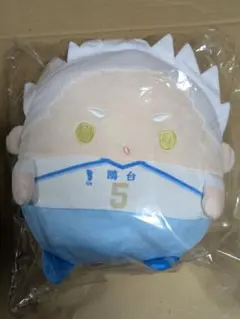 ハイキュー くじメイト ぬいくじ C賞ふわコロりんM　　 星海光来 少々難あり