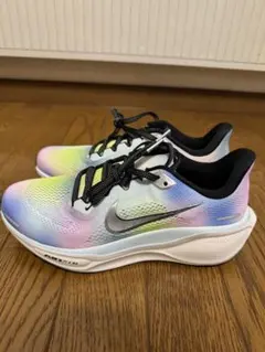 Item thumbnail for item 49c6aa6d-f593-4a89-bd33-e62673d8ff6c