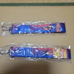 FC東京EVERTON GALDINO &後藤亘 ボンフィンベルト未開封