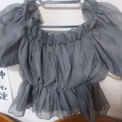 GRL グレイル シアーギャザーショート丈ブラウス tu541