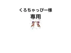 くろちゃっぴー様 リクエスト 3点 まとめ商品