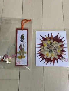 ★新品★ 押花　パウチ&しおり、ストラップ付