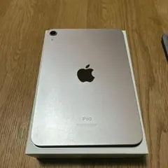Apple ipad mini6 64GB ピンク