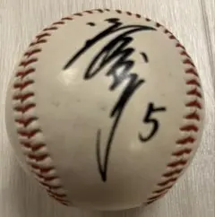 読売ジャイアンツ サインボール 記念グッズ：清原和博：PL学園：プロ野球：巨人