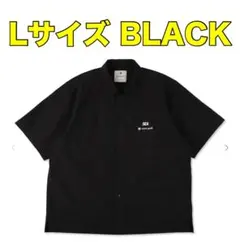 Item thumbnail for item 42759f36-37de-4274-acb2-3ee66126fd58