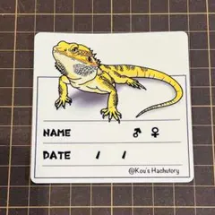 Item thumbnail for item ed92fd14-916b-488f-aca4-b659ba3f0ab1