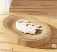 Item thumbnail for item 2ce45c95-be91-40ae-82ba-f8379062712b