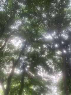⋆⸜♡⸝‍⋆