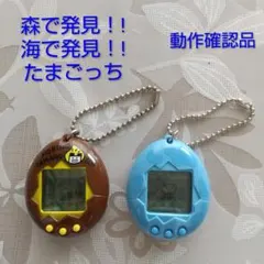 海で発見！！たまごっち 森で発見！！たまごっち 2個セット - メルカリ
