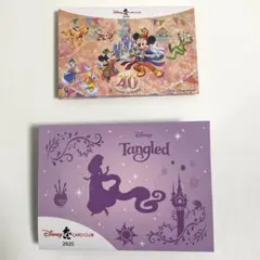 ディズニー　ラプンツェル　ミッキー　ピンバッジ　新品