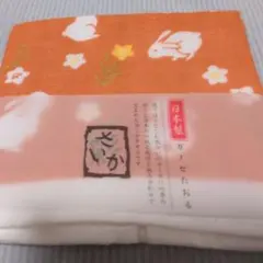 Item thumbnail for item 7690a9c9-5c3a-4b71-a3fc-a65c8c70edf0