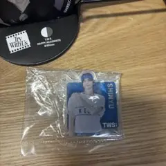 2025年最新】ТWS キーホルダーの人気アイテム - メルカリ