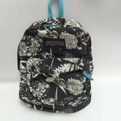 激レアJAN SPORT y2k archive swag JANSPORT リュック バックパック archive swag y2k - メルカリ