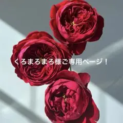 くろまろまろ様ご専用ページ