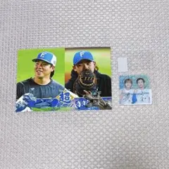田宮裕涼 金村尚真 推しペア フォト クリアステッカー