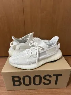 adidas YEEZY Boost 350V2 