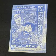 ワンピースカードゲーム モンキー・D・ルフィ P-033 プロモ 付録　2枚